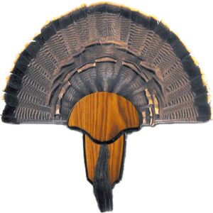 HS STRUT MOUNTING KIT TURKEY - TAIL & BEARD