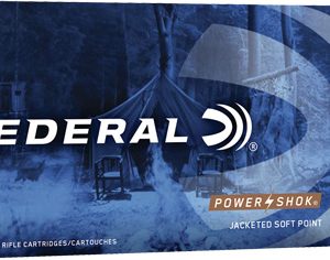 FEDERAL POWER-SHOK 300 AAC - 150GR SP 20RD 10BX/CS