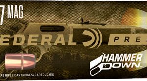 FEDERAL HAMMER DOWN 357 MAG - 170GR JSP 20RD 10BX/CS