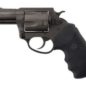 CHARTER ARMS CHARTER PITBULL 40SW NIT 2" FS