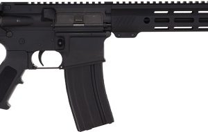 BUSHMASTER QRC II 223 - 16" BARREL 30-SHOT BLACK