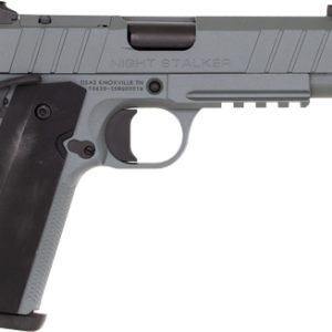 TISAS 1911 B9BA NSSF-C 9MM - 4.25" BBL 10RD W/CASE GREY