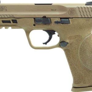 S&W M&P9 M2.0 9MM 4.25" TRUGLO - TFX SIGHTS 17-RD FDE