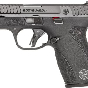 S&W BODYGUARD 2.0 380ACP 2.75" - 10/12 RD MAGS BLACK NO SAFETY