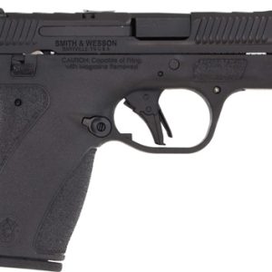 S&W BODYGUARD PC CARRY COMP - 380 10RD MAGS GRAY SAFETY