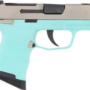 SIG P365 MIC COMP 380ACP 3.1" - XRAY3 OR (2)10RD ROB EGG/NICK