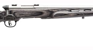 SAVAGE BMAG TARGET 17WSM 22" - HB SS/GREY LAMINATE T-HOLE