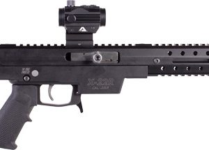 EXCEL X22R RIFLE 22LR 10RD - 16" BLACK WITH RED DOT SIGHT