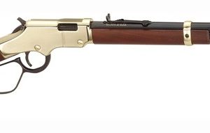 HENRY GOLDENBOY 22WMR - 20.5" OCTAGON LARGE LOOP