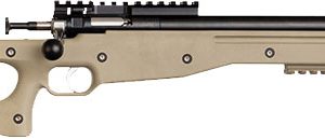 CRICKETT PRECISION RIFLE 22LR - BLUED/FDE THREADED BARREL