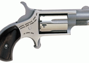 NAA MINI-REVOLVER 22LR 1-1/8" - S/S MATTE WOOD