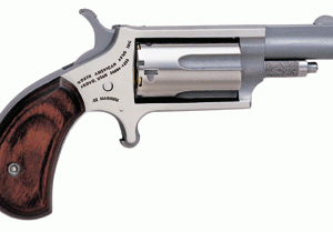 NAA MINI-REVOLVR 22WMR 1-5/8" - S/S MATTE WOOD