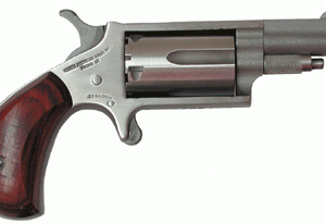 NAA MINI-REVOLVER COMBO - 22LR/22WMR 1-5/8" S/S WOOD