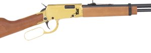 ROSSI RIO BRAVO 22LR LEVER - 18" 15-SHOT BLACK GOLD RECEIVR