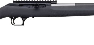 MAGNUM RESEARCH MAGNUM LITE - 17HMR STRAIGHT PULL 19" HOGUE