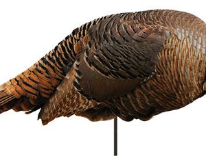 MONTANA DECOY TURKEY SPRING - FLING HEN