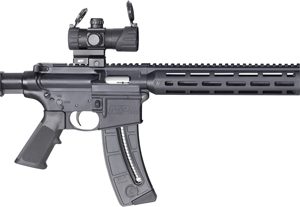 S&W M&P15-22 SPORT OR 22LR - 16.5" MP100 RED/GRN DOT 25-RD