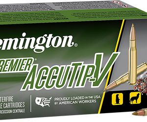 REMINGTON 17 REM 20GR ACCU-TIP - BT 20RD 10BX/CS