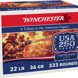 WINCHESTER 22LR 36GR PLATED HP - 1280FPS 333RD 10BX/CS