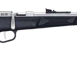 HENRY REPEATING ARMS MINI BOLT 22LR SS/SYN        #