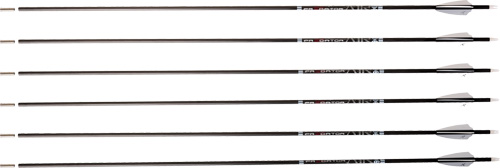 CARBON EXPRESS ARROW PREDATOR - AIR 400 2" Q2i VANES 6PK